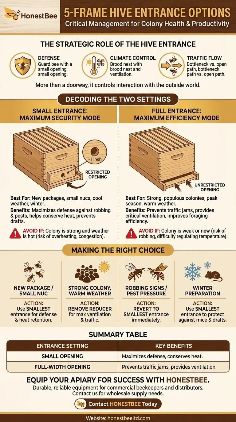 What are the entrance size options for a 5-frame hive? A Guide to Strategic Colony Management Visual Guide