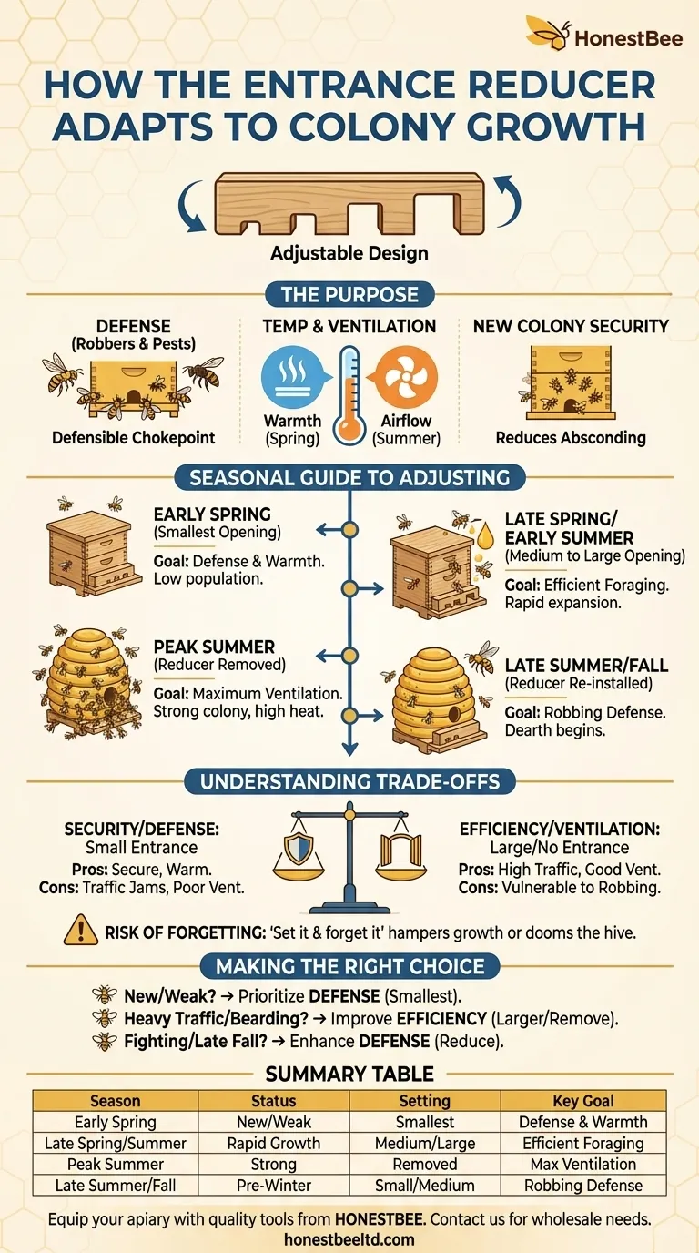 입구 조절기는 군집의 성장에 어떻게 적응합니까? 계절별 벌통 관리 마스터하기 시각적 가이드