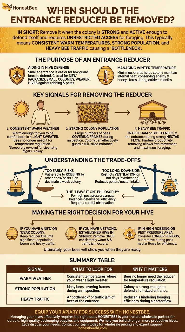 입구 축소기는 언제 제거해야 하나요? 벌통 건강과 꿀 생산량을 극대화하려면 시각적 가이드