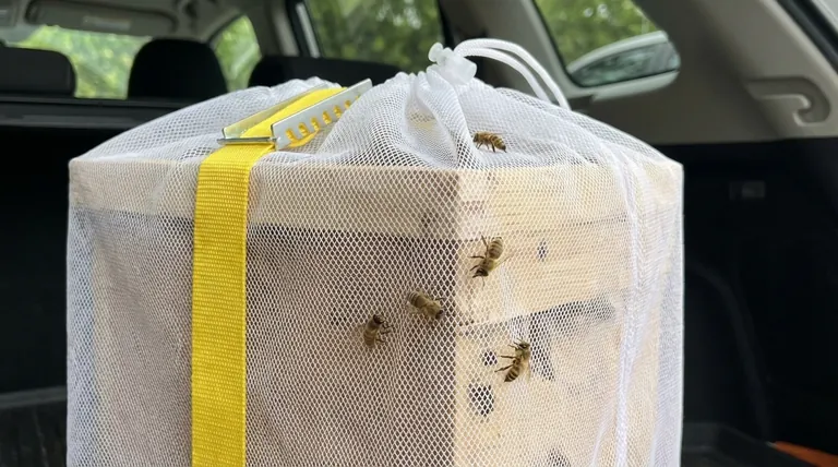 Quale problema risolve la Borsa da Trasporto a Rete per Nuclei (Nuc Mesh Transport Bag)? Metti al sicuro il tuo alveare durante il trasporto