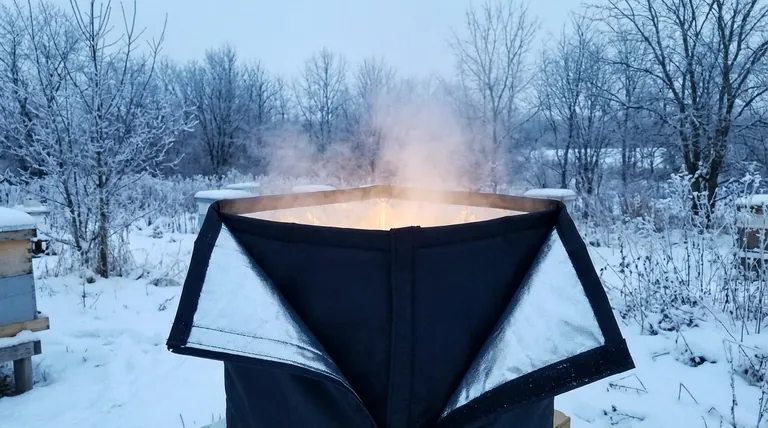 겨울벌집군집이란 무엇이며, 꿀벌 생존에 왜 중요한가요? 겨울을 통해 벌집군집이 번성하도록 보장하세요