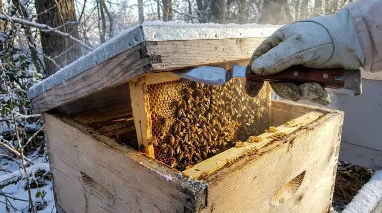 How do honey bees generate heat during the winter? The Science of the Winter Cluster
