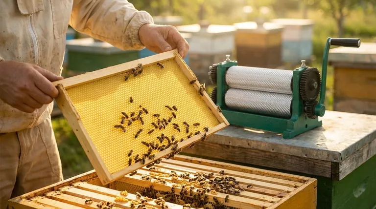 What is the advantage of using beeswax foundation in beekeeping? Boost Hive Health Naturally