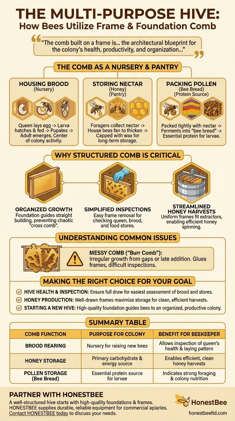 벌들은 프레임과 기초판 위에 만들어진 소광을 어떻게 사용할까요? 번성하는 벌집을 위한 청사진 시각적 가이드