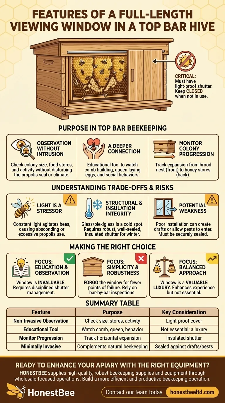 What are the features of a full-length viewing window in a top bar hive? Observe Your Bees Without Disturbance Visual Guide
