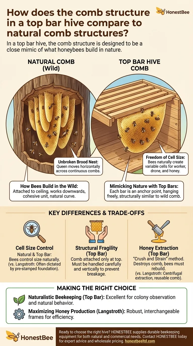 How does the comb structure in a top bar hive compare to natural comb structures? A Guide to Natural Beekeeping Visual Guide