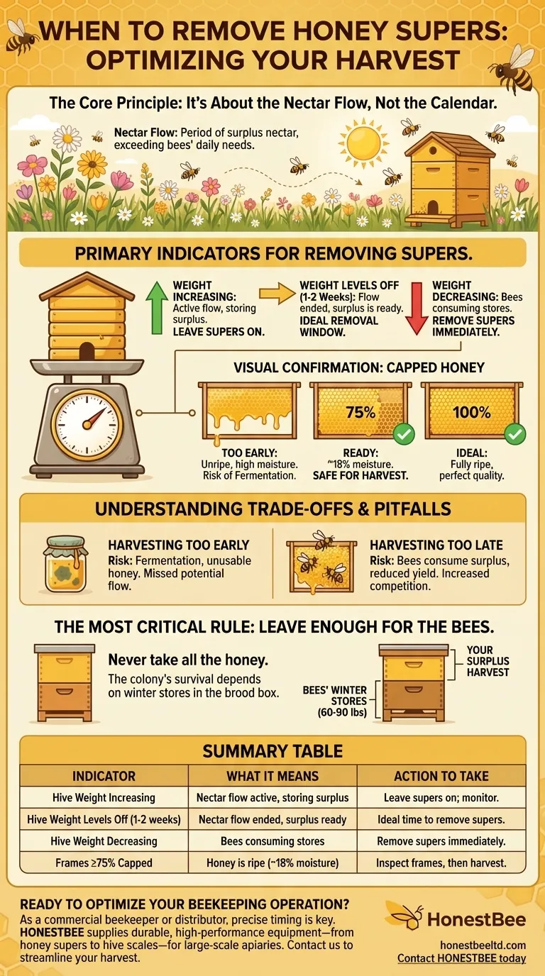 Quando si dovrebbero togliere le melari (honey supers) da un alveare? Massimizza il tuo raccolto di miele con il tempismo perfetto Guida Visiva