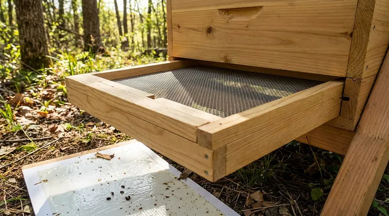 탑바 벌통에서 바닥판의 역할은 무엇인가요? 해충 방제 및 벌통 건강을 위한 핵심 도구
