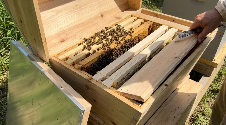 What should be done if there are only 1-2 empty bars in a top bar hive? Prevent Swarming with Proactive Management