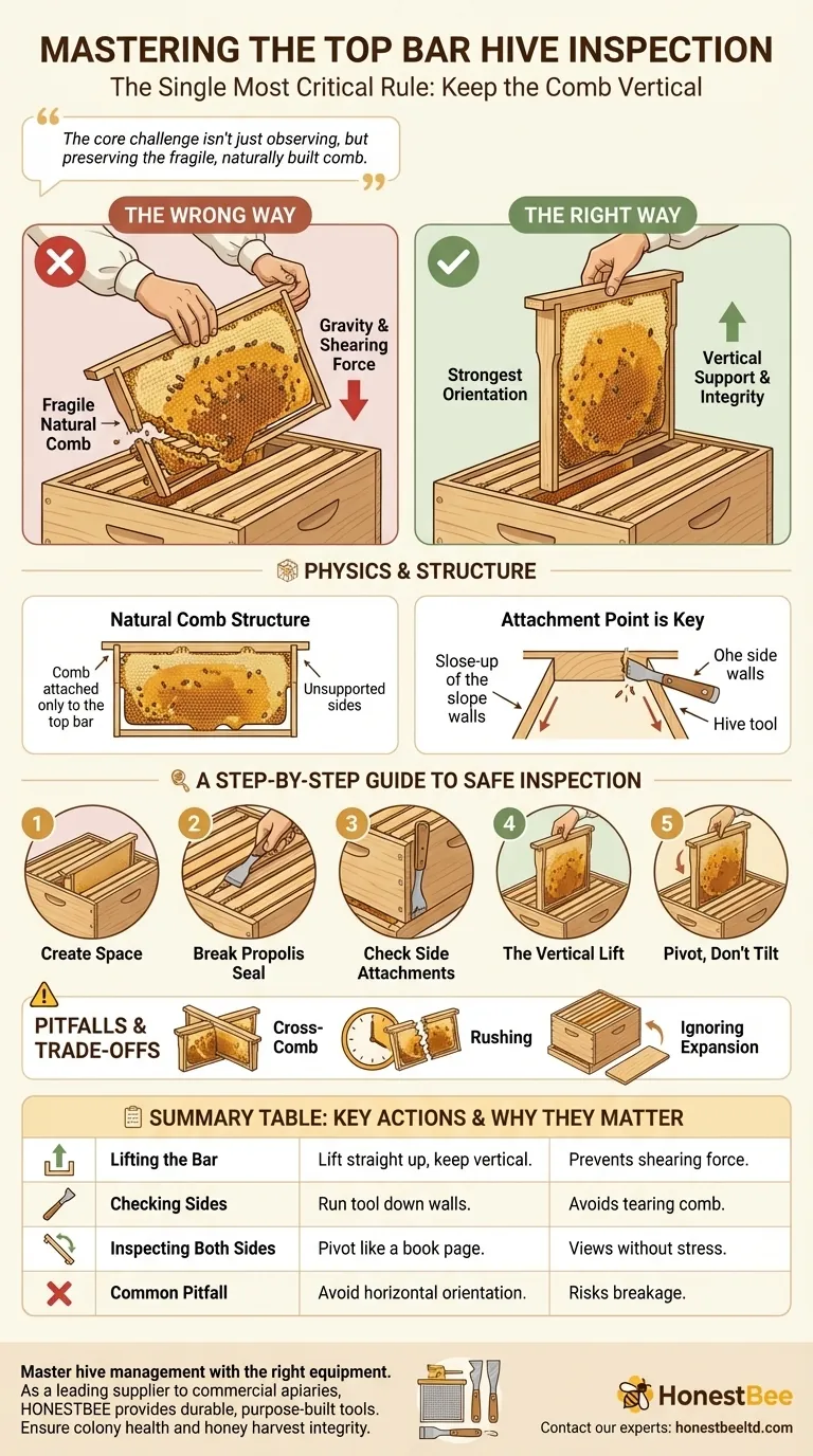 탑바 벌통 내부를 검사할 때 유용한 팁은 무엇인가요? 벌집을 수직으로 유지하세요 시각적 가이드