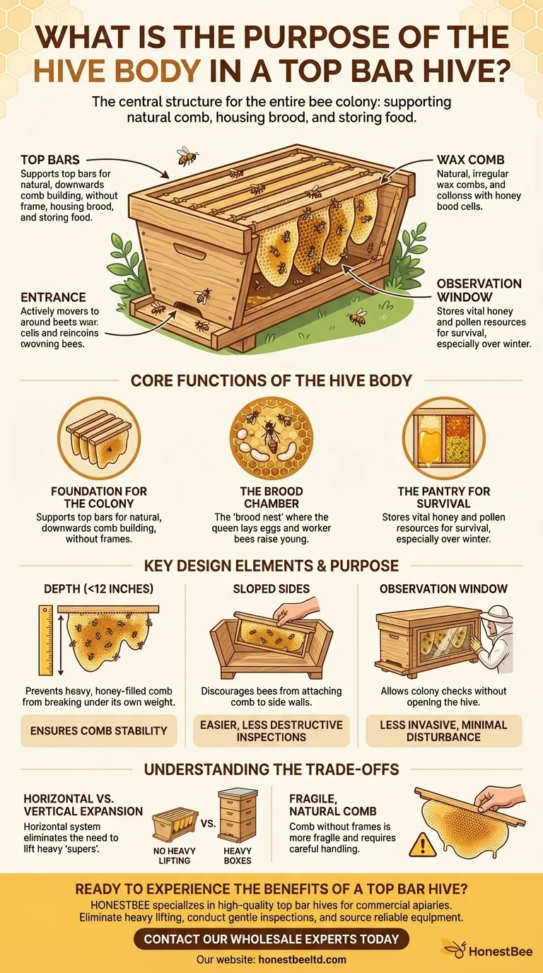 What is the purpose of the hive body in a top bar hive? The Complete Guide to Natural Beekeeping Visual Guide