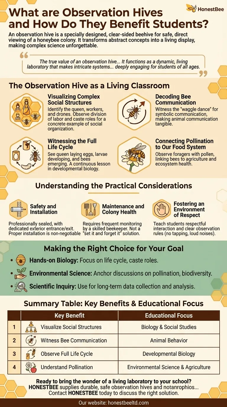 What are observation hives and how do they benefit students? A Living Laboratory for Science Education Visual Guide