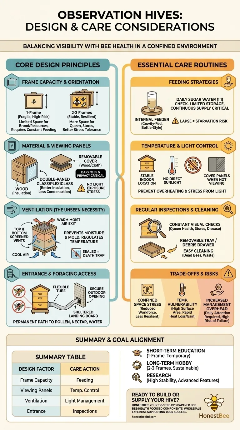 What are the design and care considerations for observation hives? Build a Healthy, Thriving Colony Visual Guide