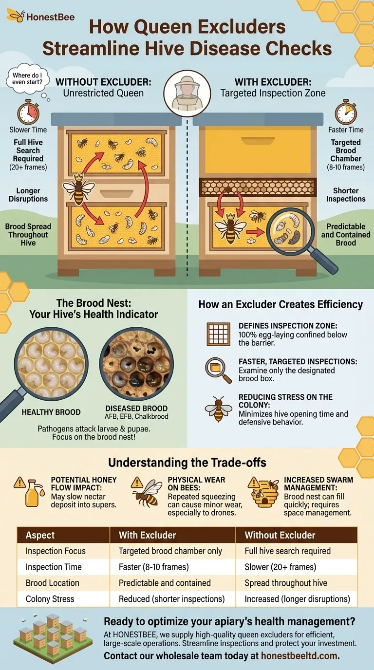 How do excluders help in disease checks within a hive? Streamline Hive Inspections for Better Health Visual Guide