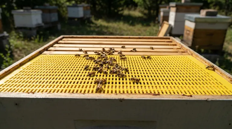 What are the pros of using queen excluders? Boost Honey Production & Hive Efficiency
