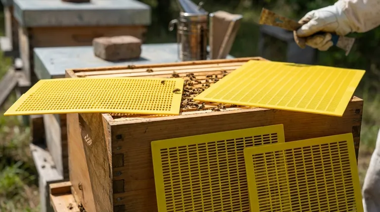 What factors influence a beekeeper's decision to use a queen excluder? Maximize Honey Production & Hive Health