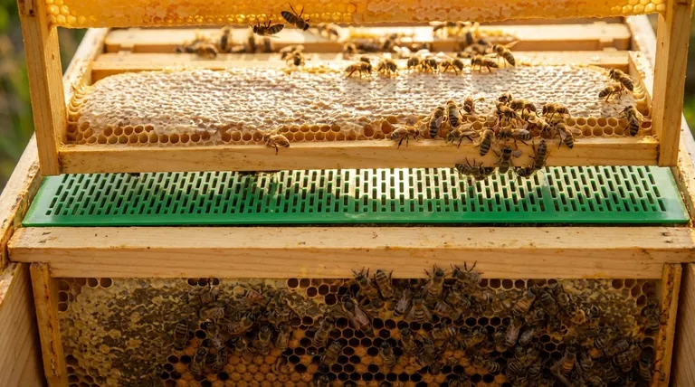 How does a queen excluder affect honey storage? Maximize Clean Honey Yields in Your Hive