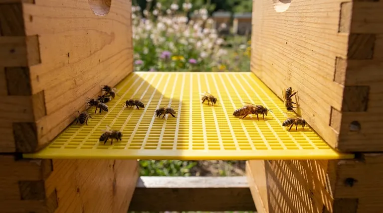 여왕벌 배제기는 간격과 벌의 이동 측면에서 어떻게 작동하나요? 정밀 벌통 관리를 위한 가이드