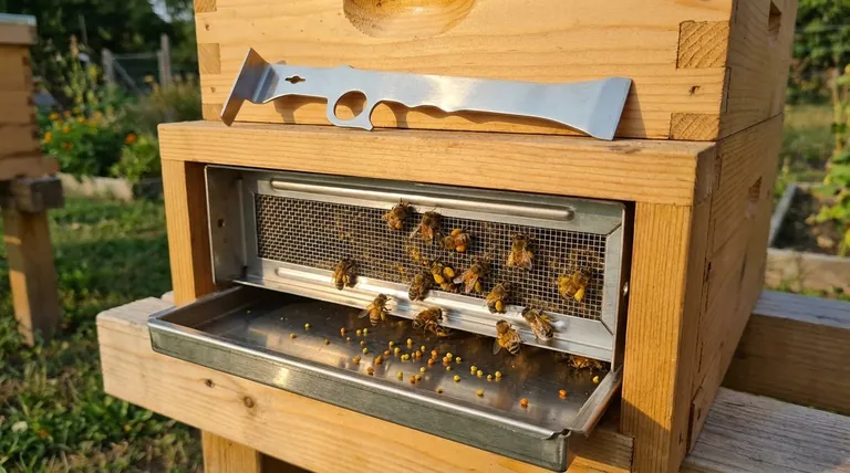 O que é uma armadilha de pólen e como funciona? Um Guia para a Colheita Sustentável de Pólen