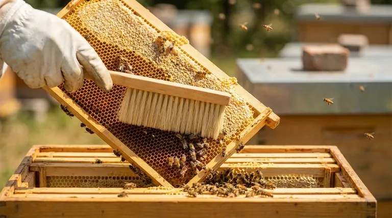What is a Bee Brush and how is it used? Master Gentle Bee Handling for Your Apiary