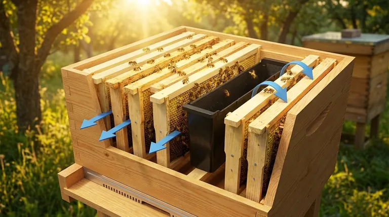 How are Langstroth frames typically oriented, and why? Optimize Hive Health & Productivity