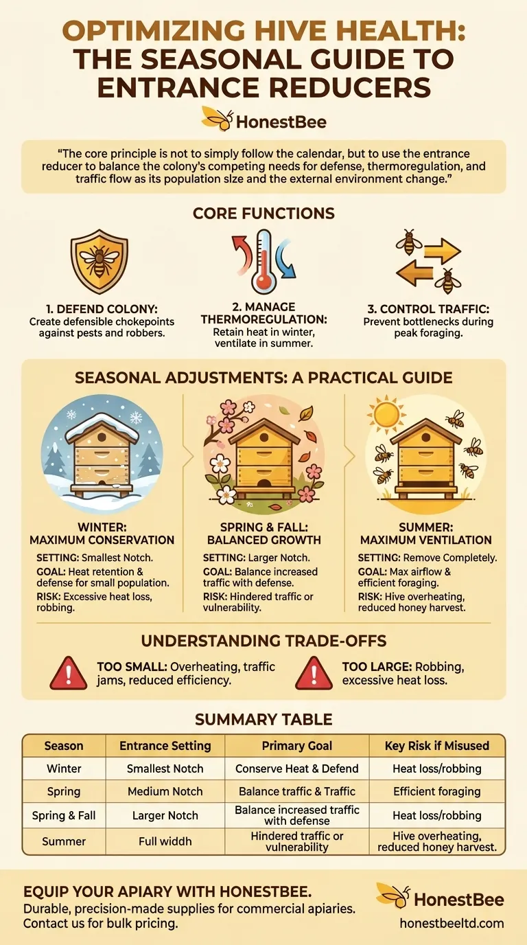 How does the entrance reducer adjust for different seasons? Master Hive Climate Control for Healthy Bees Visual Guide