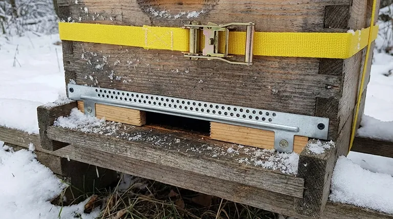 겨울철 입구 축소기에 추가될 수 있는 기능은 무엇입니까? 쥐 침입 방지기로 벌집을 보호하세요