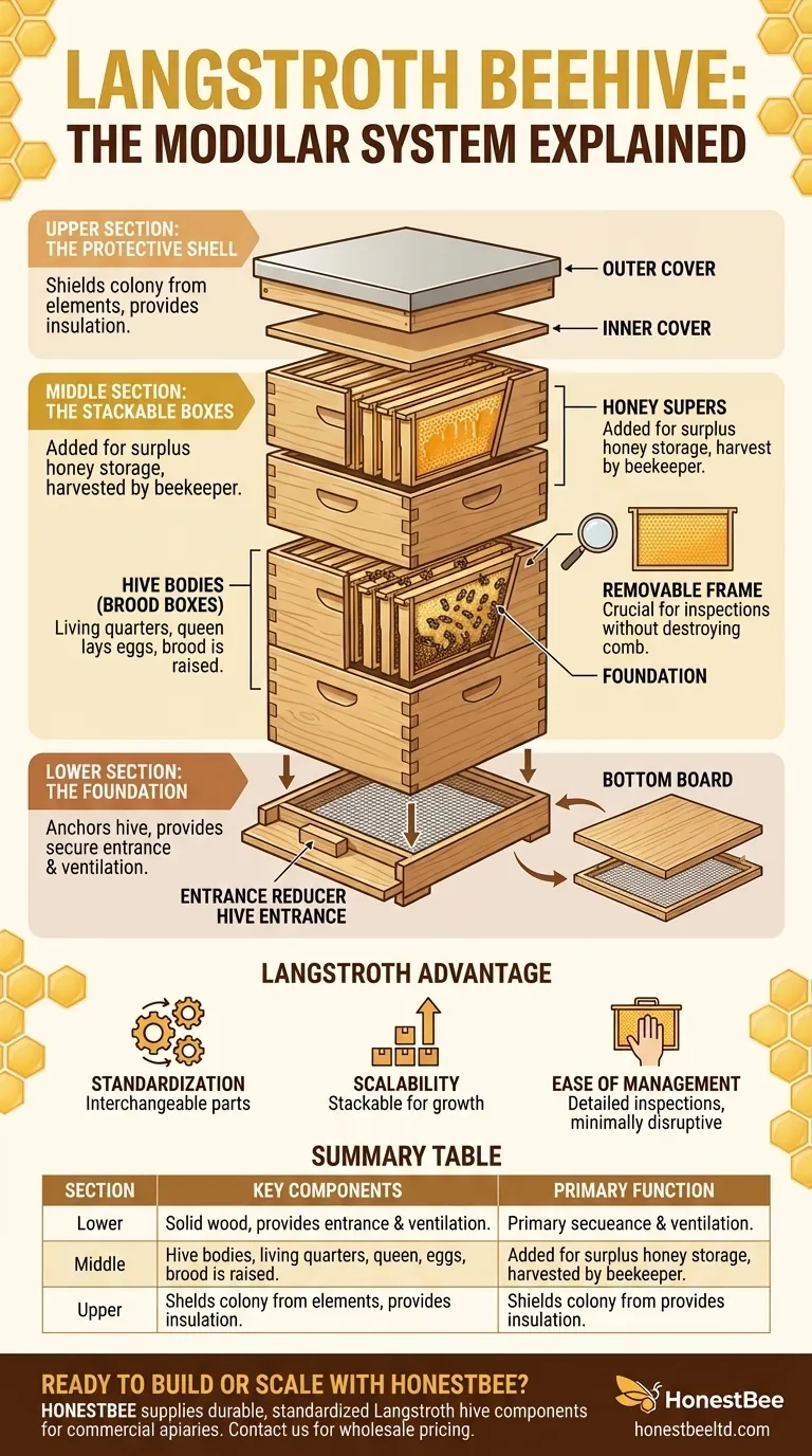 What are the three main sections of a Langstroth beehive? Master the Modular Design for Healthy Hives Visual Guide