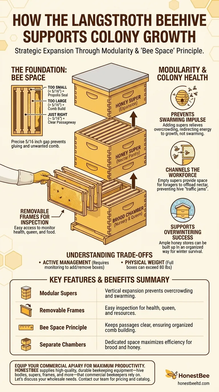How does the Langstroth beehive support colony growth? Maximize Honey Production & Colony Health Visual Guide