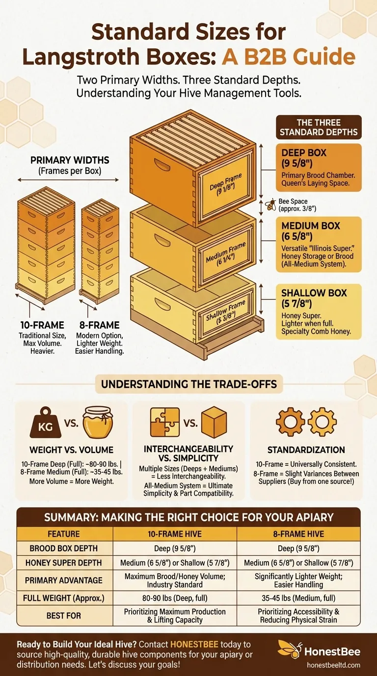 랭스트로스 벌통의 표준 크기는 무엇인가요? 8매형 대 10매형 및 깊이에 대한 안내 시각적 가이드