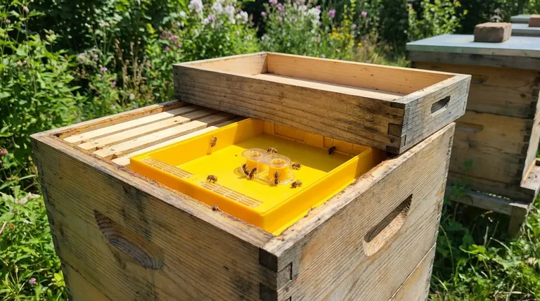 How is a feeder typically placed in a beehive? A Step-by-Step Guide for Safe Feeding