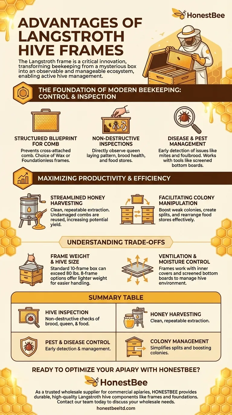랑스트로스 벌통에서 프레임을 사용하는 것의 장점은 무엇인가요? 우수한 벌통 관리 및 꿀 생산 달성 시각적 가이드