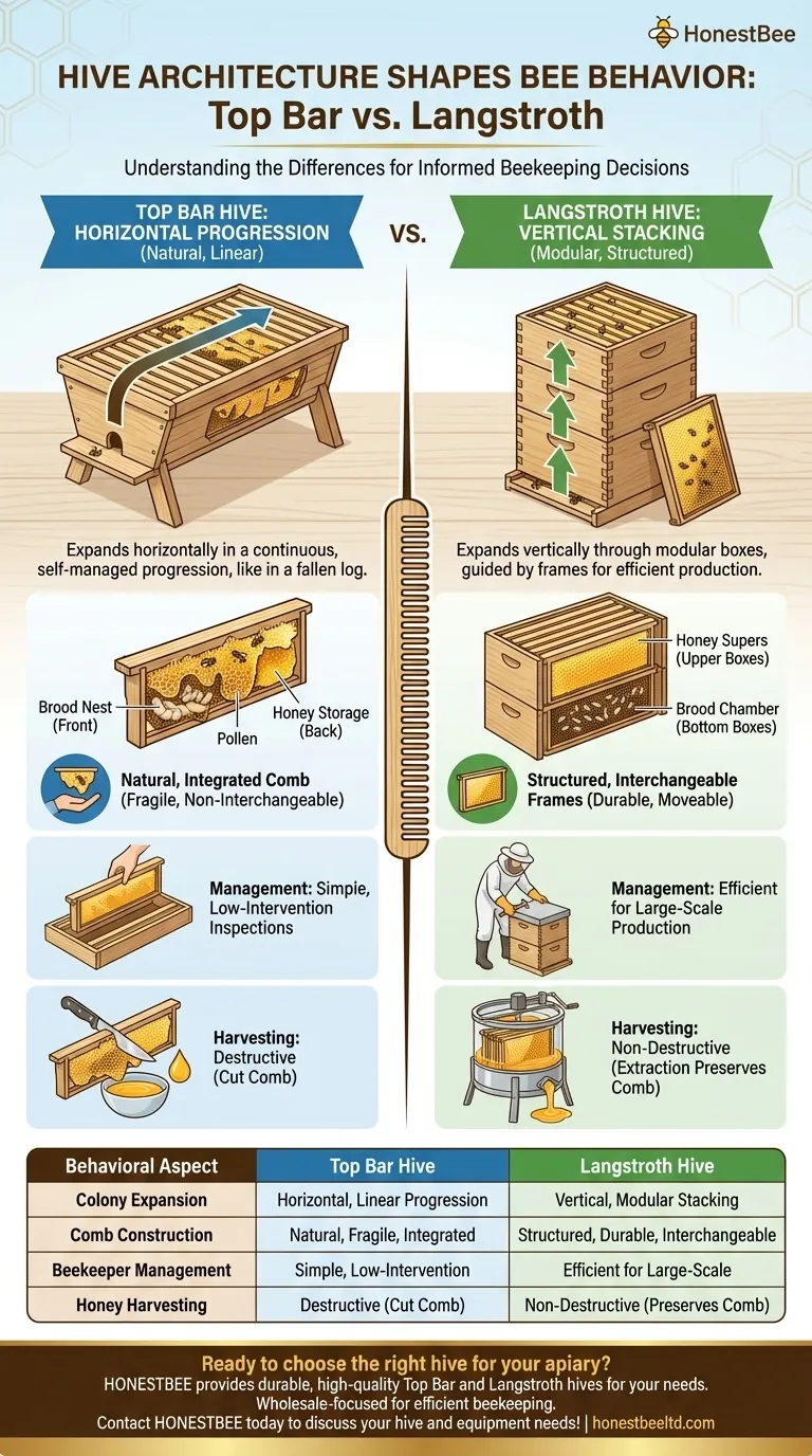 How do bees behave differently in Top Bar vs. Langstroth hives? Understand the Architectural Impact Visual Guide