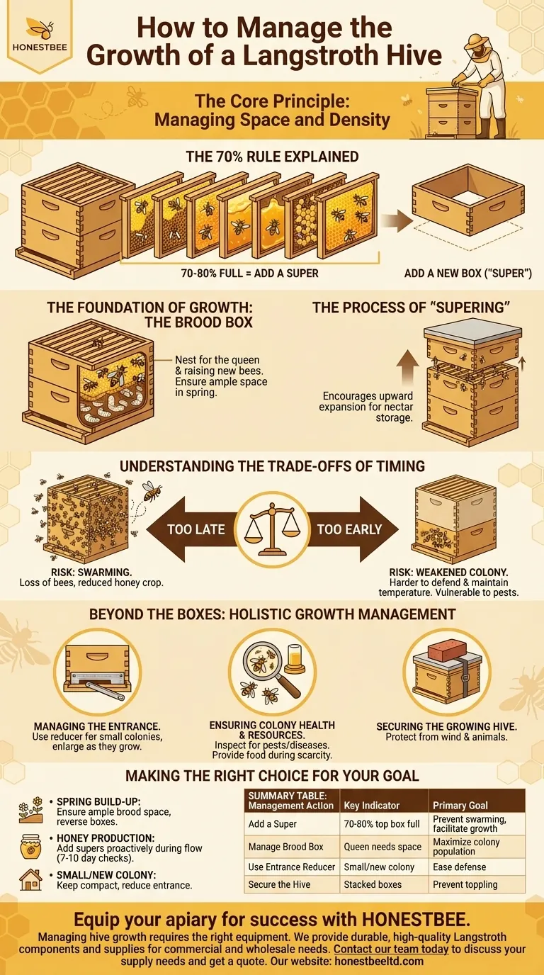 양봉가들은 랑스트로스 벌통의 성장을 어떻게 관리하나요? 전략적인 공간 관리에 대한 안내 시각적 가이드