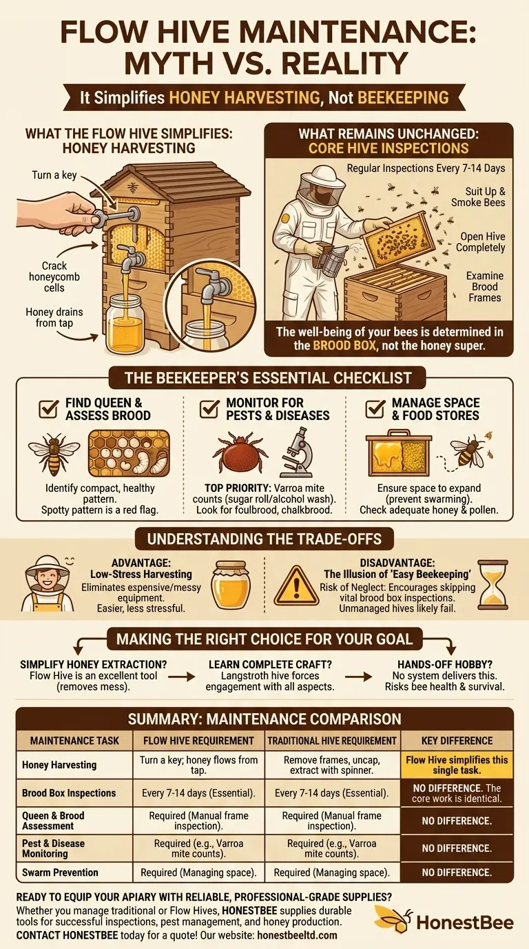 What maintenance is required for the Flow Hive? Essential Beekeeping Tasks You Can't Ignore Visual Guide