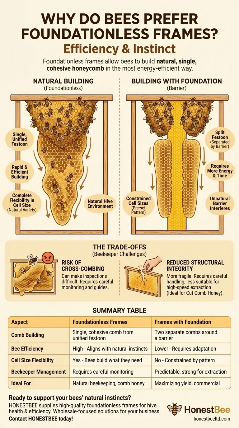 벌들은 왜 기초판 없는 벌집 틀을 선호할까요? 자연스러운 벌집 효율성과 건강을 해제합니다 시각적 가이드
