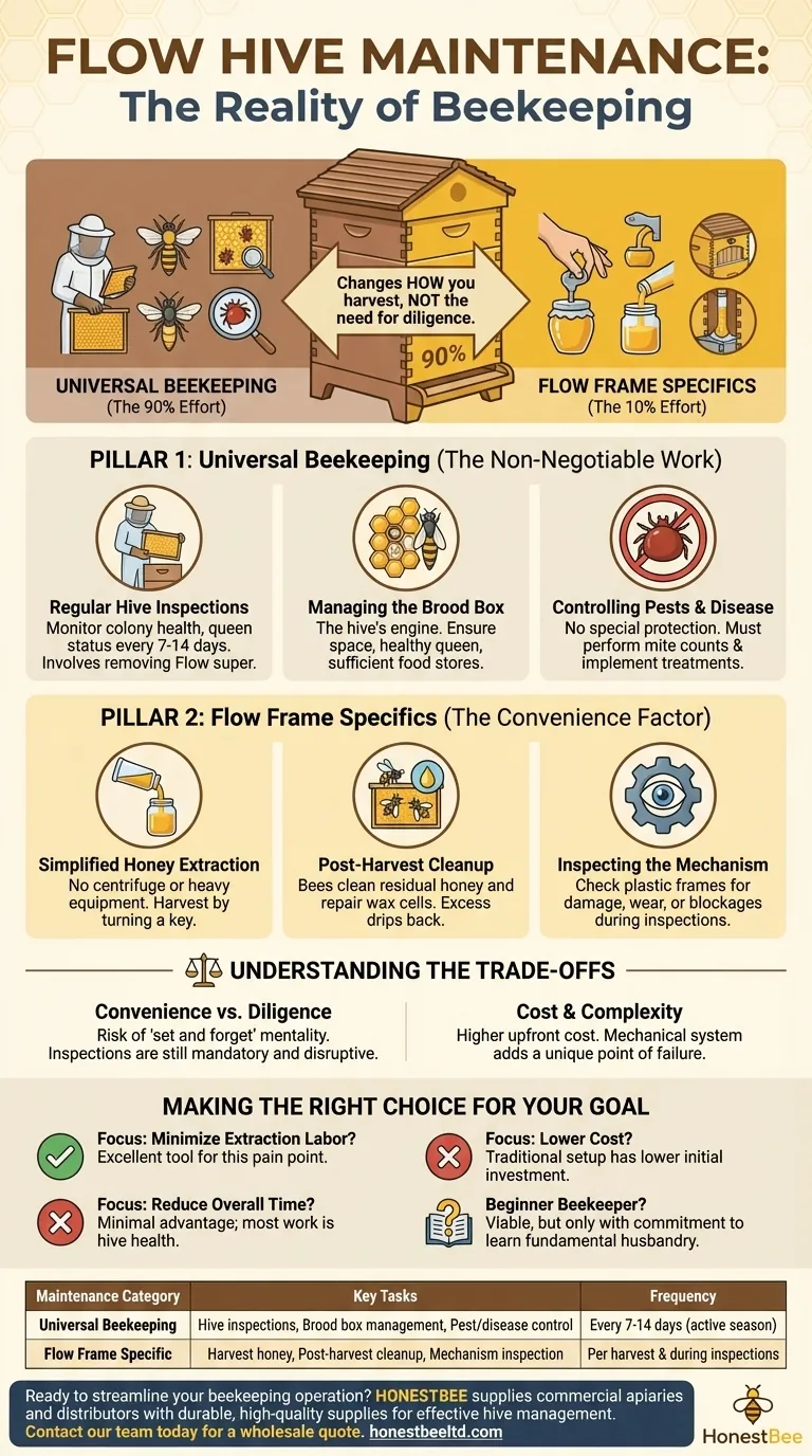 플로우 하이브(Flow Hive)에 필요한 유지 관리는 무엇인가요? 여전히 해야 할 필수 양봉 작업 시각적 가이드