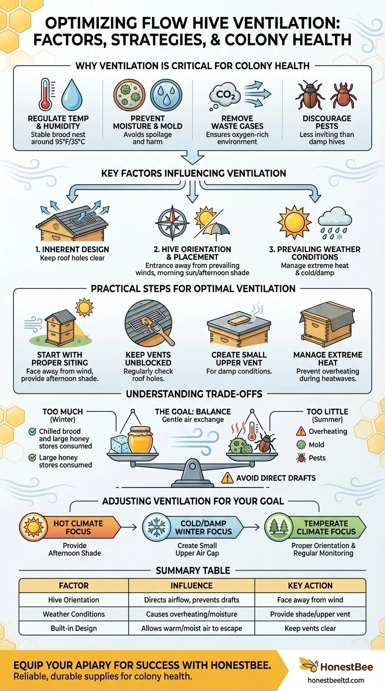 What factors influence the ventilation of a Flow Hive? Achieve Optimal Health for Your Colony Visual Guide
