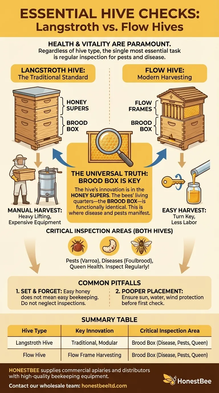 ما هو الضروري عند فحص خلايا لانجستروث وفلو هيف؟ إعطاء الأولوية لصحة المستعمرة من أجل منحل مزدهر دليل مرئي