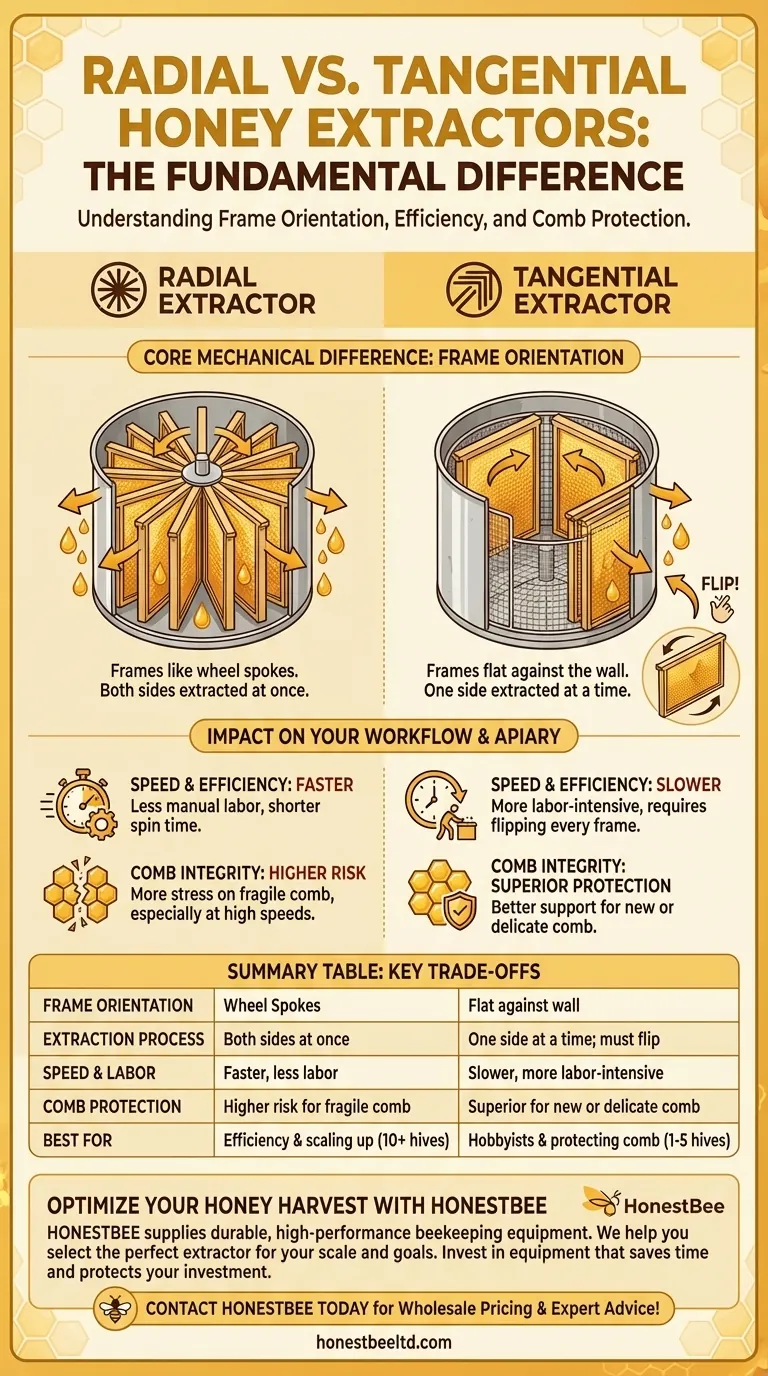 What is the difference between a radial extractor and a tangential extractor? Choose the Right Extractor for Your Apiary Visual Guide