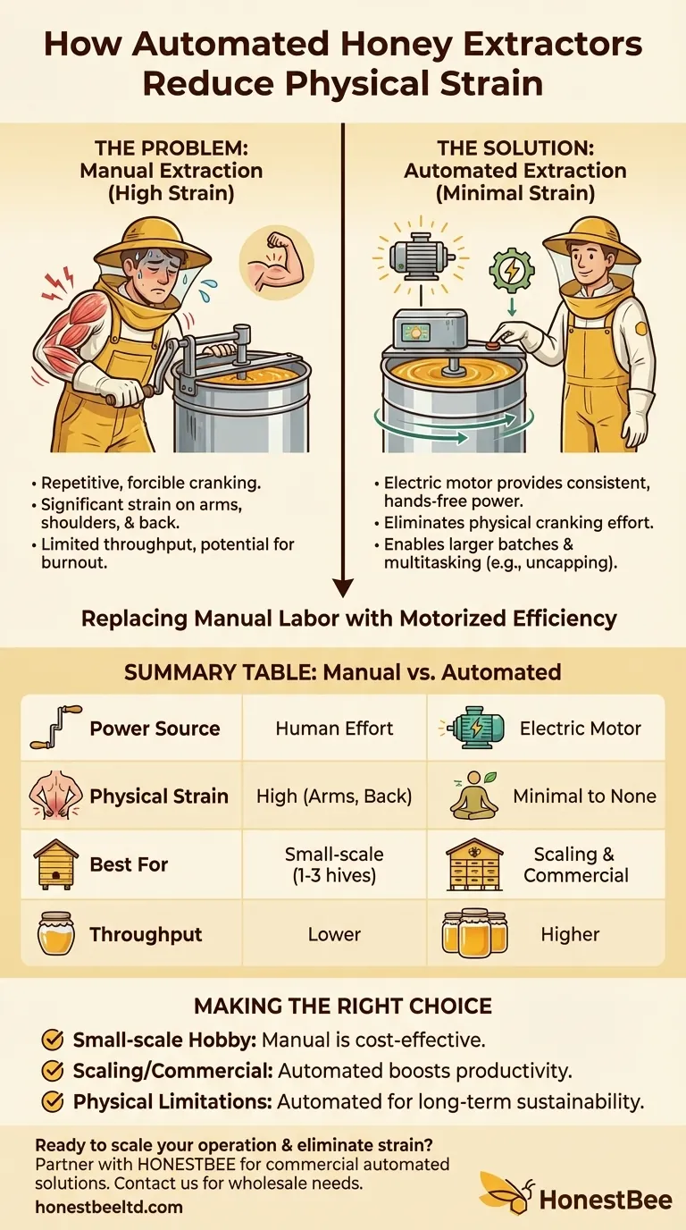 How do automated honey extractors reduce physical strain for beekeepers? Boost Efficiency & Prevent Burnout Visual Guide