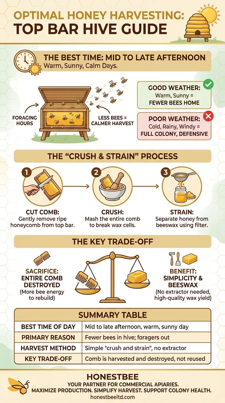 What is the preferred time of day to harvest honey from a top bar hive? Optimize for a Calm & Efficient Harvest Visual Guide