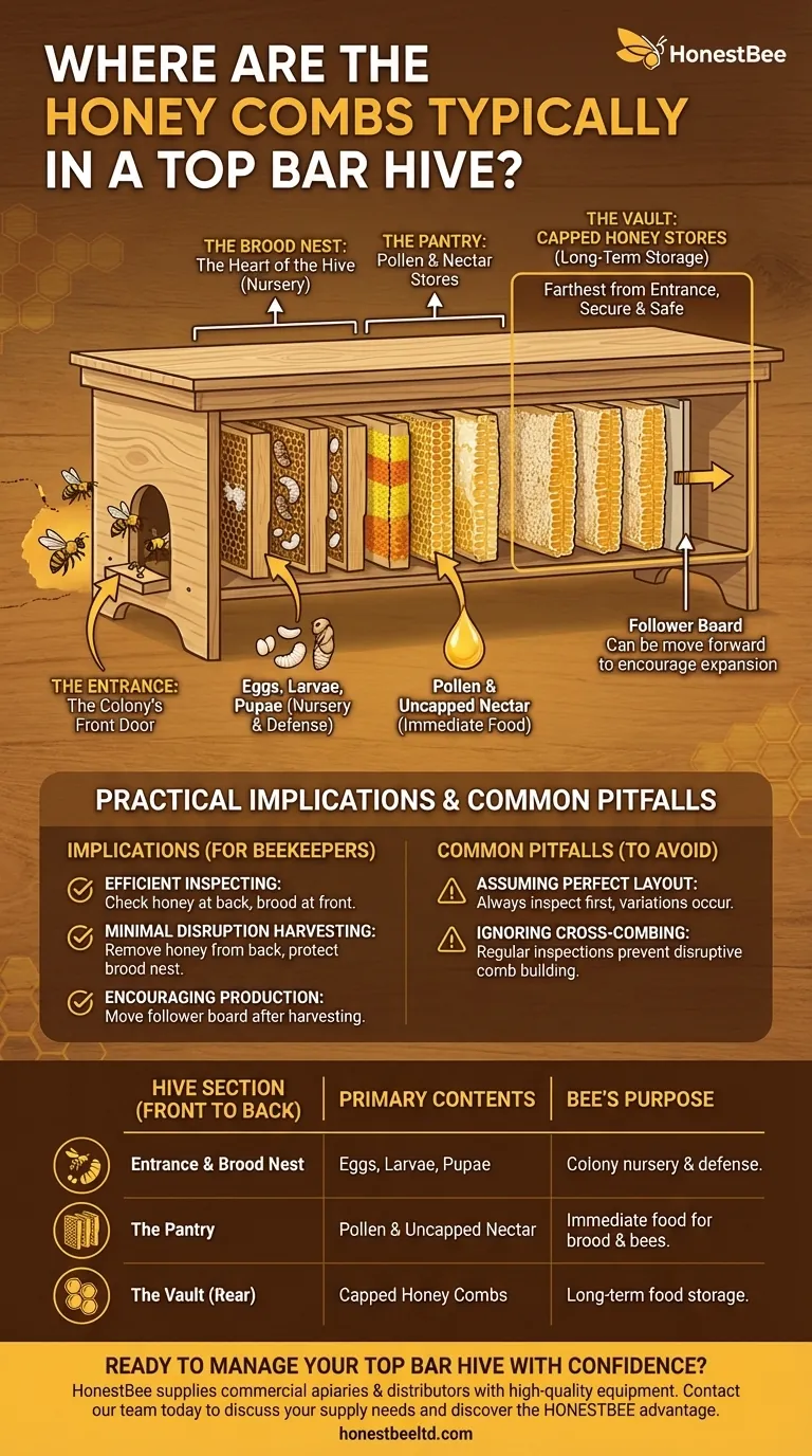 탑바 하이브에서 벌집은 일반적으로 어디에 위치하나요? 쉬운 채집을 위해 뒤쪽에 있습니다. 시각적 가이드