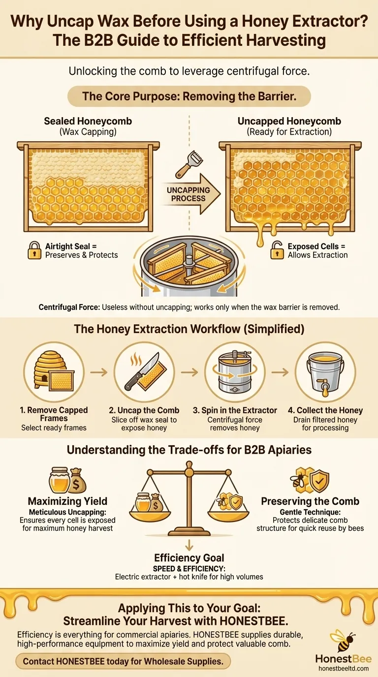 What is the purpose of uncapping wax before using a honey extractor? Maximize Your Honey Yield Visual Guide