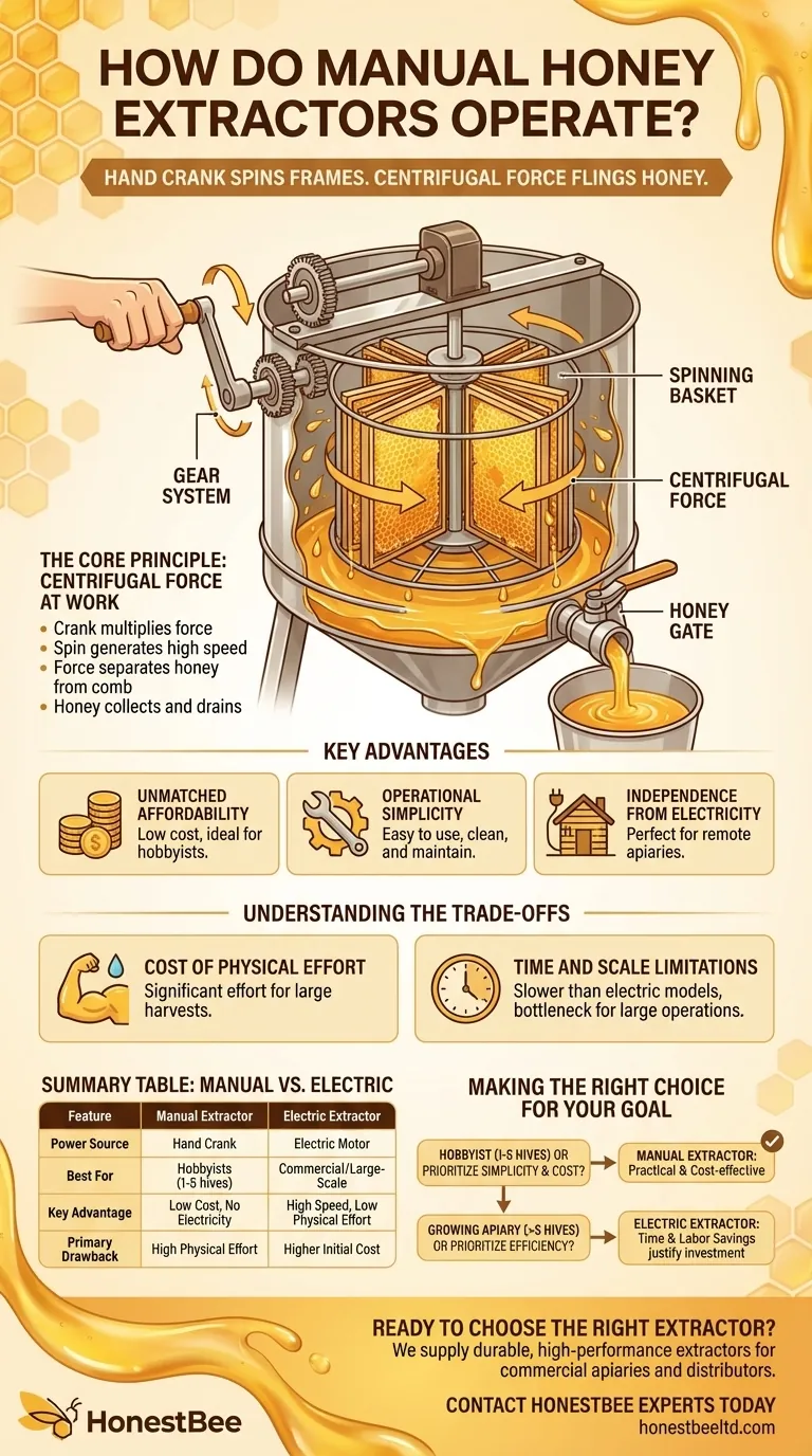 How do manual honey extractors operate? A Guide to Simple, Affordable Honey Harvesting Visual Guide