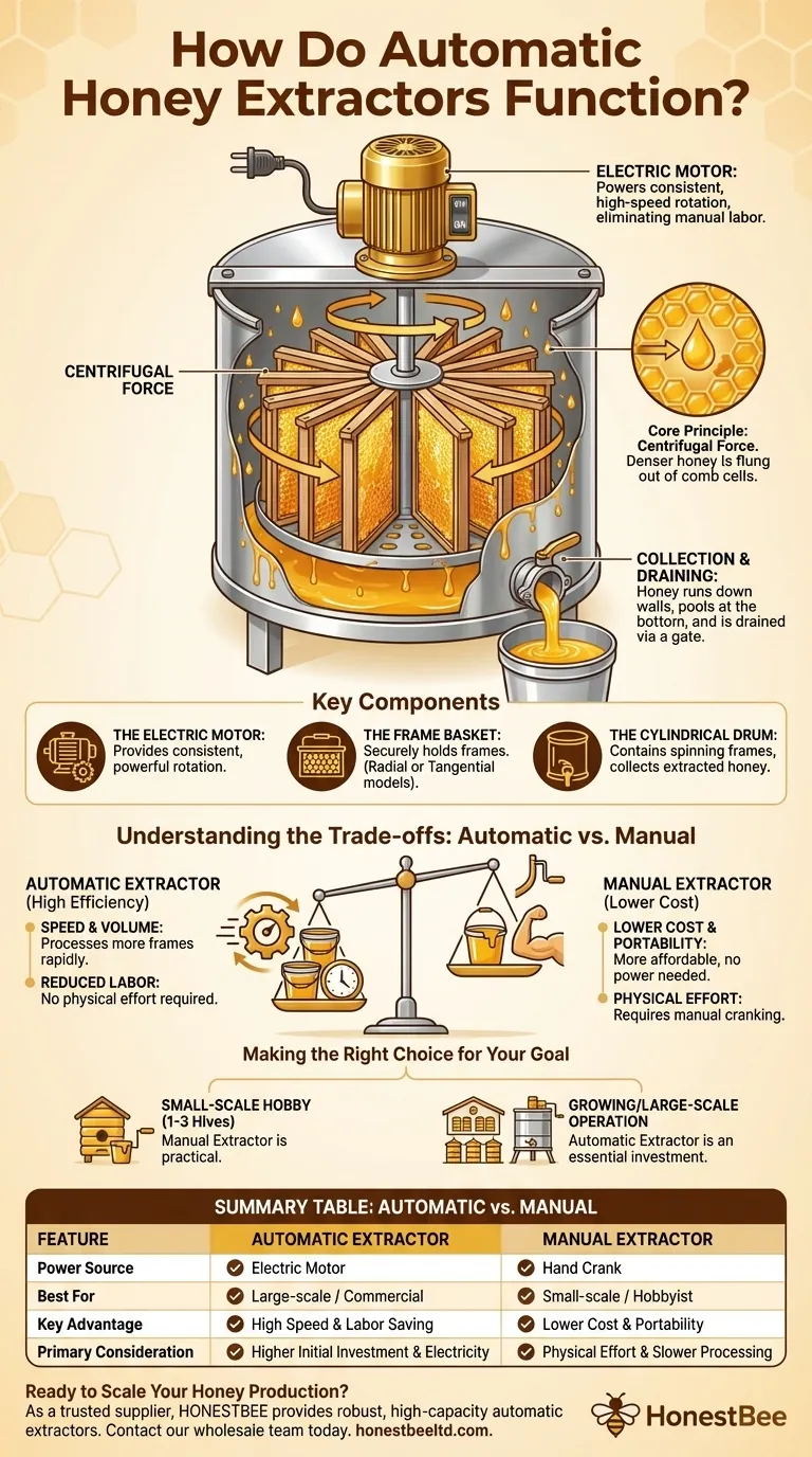 How do automatic honey extractors function? Achieve High-Efficiency Honey Harvesting Visual Guide