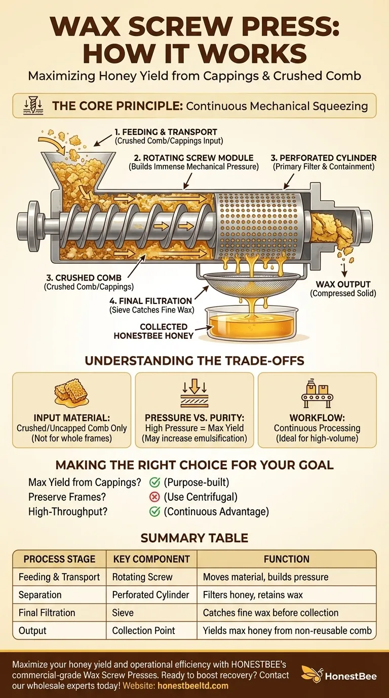 How does the honey separation and pressing process work in the Wax Screw Presses set? Maximize Honey Yield from Cappings Visual Guide