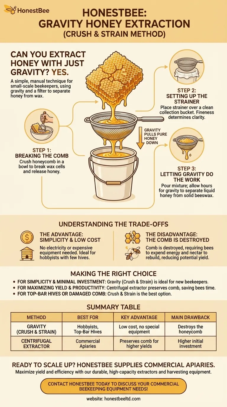 ¿Se puede extraer la miel solo con la gravedad? Una guía sencilla del método de triturar y colar Guía Visual