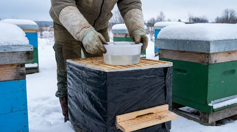 为什么蜂群在冬季储存食物很重要?蜂群生存的关键