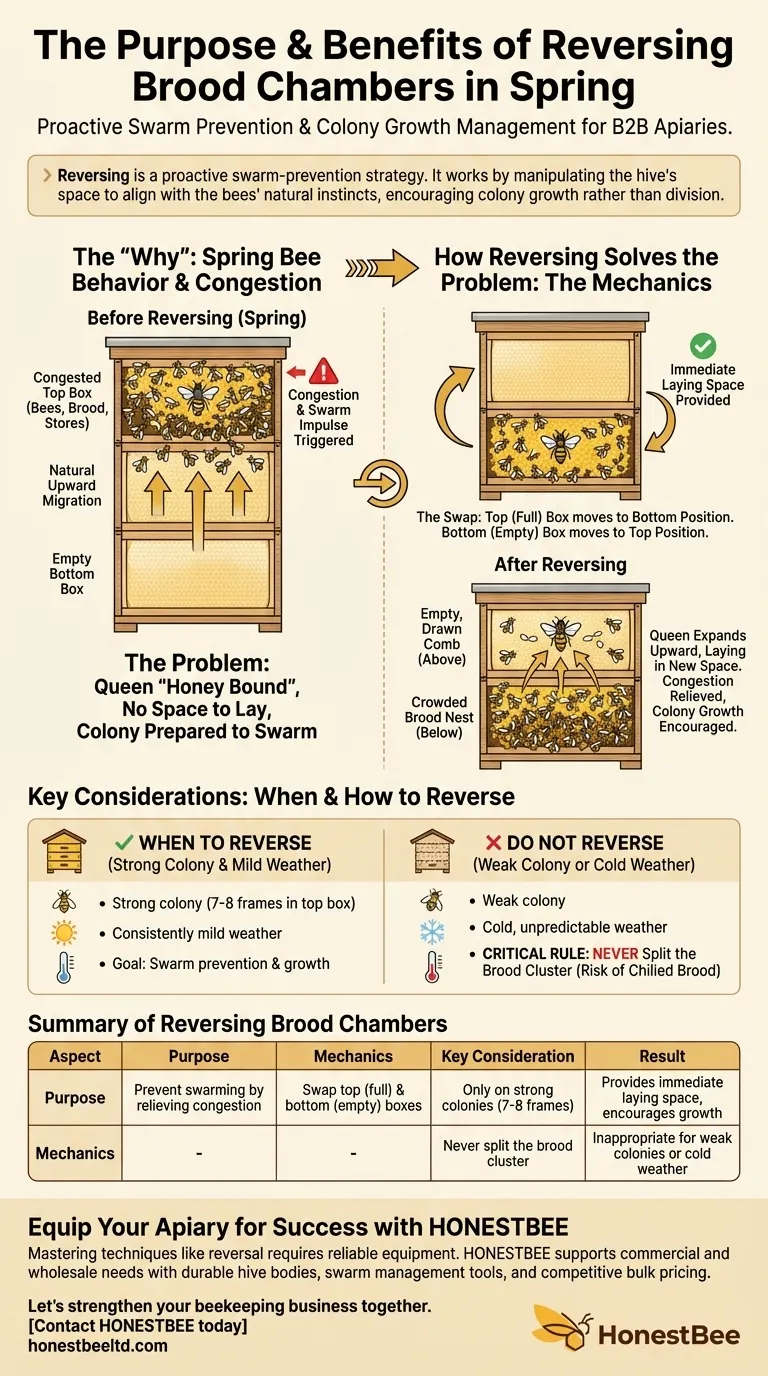 봄에 육아통을 뒤집는 목적은 무엇인가요? 선제적인 군집 분열 방지 전략 시각적 가이드